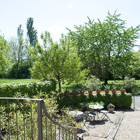 Quattrocolli *