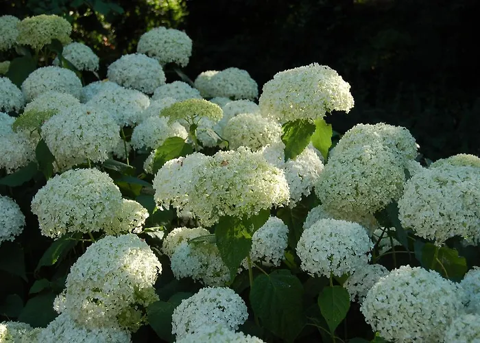 Nocleg ze śniadaniem Quattrocolli Quattro Castella