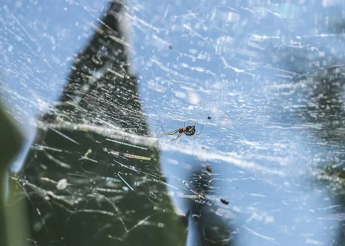 Quattrocolli 3* Quattro Castella