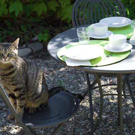 Quattrocolli Bed & Breakfast Quattro Castella