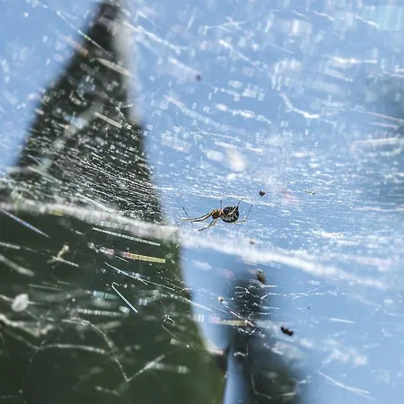 Quattrocolli 3* Quattro Castella