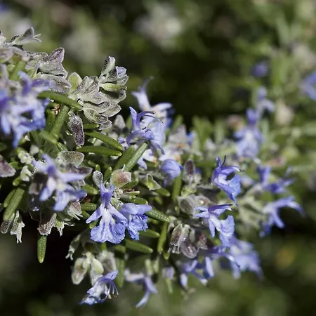 Bed and Breakfast Quattrocolli