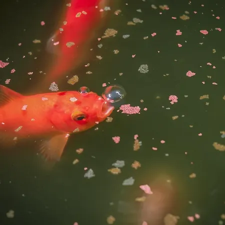 Quattrocolli Bed & Breakfast