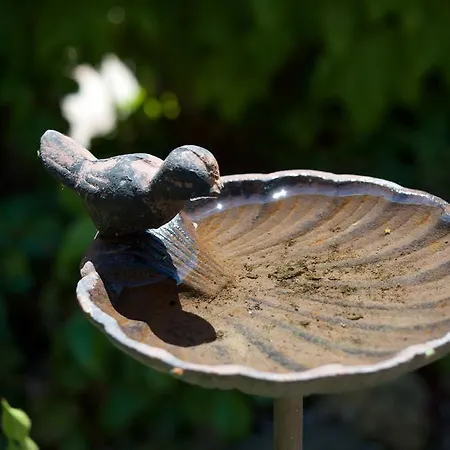 Bed and breakfast Quattrocolli 3*