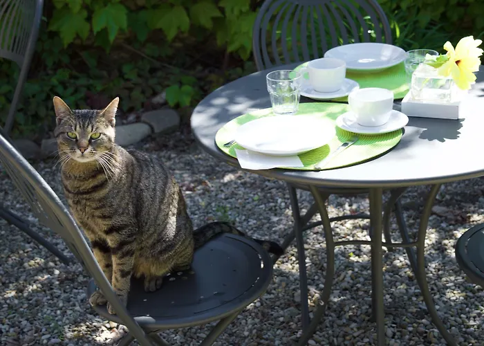 Quattrocolli Bed & Breakfast Quattro Castella