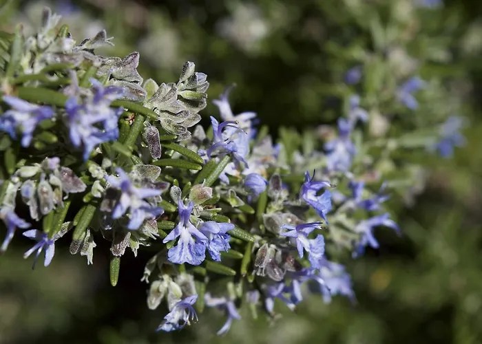 Bed & Breakfast Quattrocolli