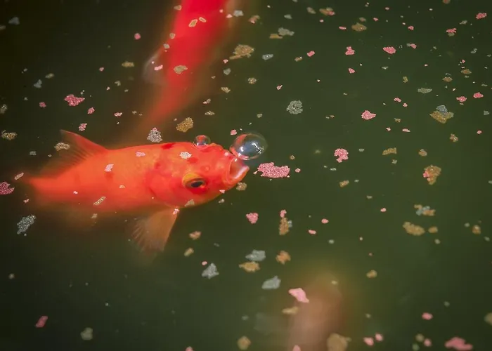 Quattrocolli Bed and breakfast