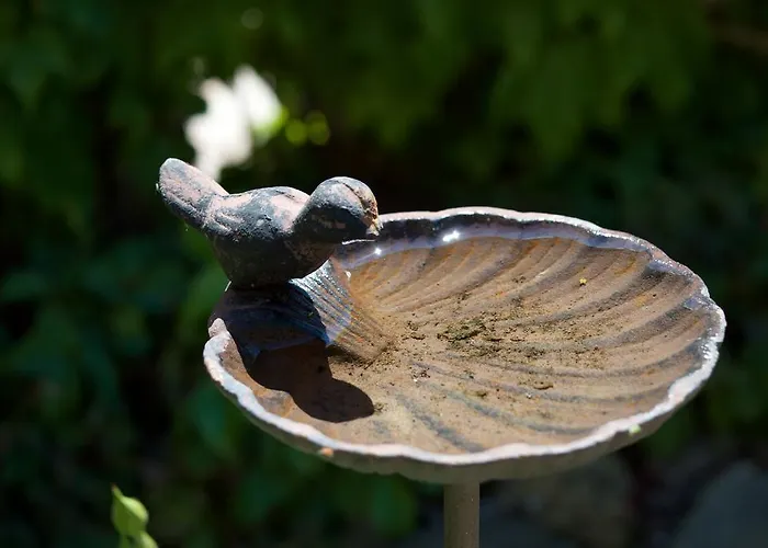 Bed and breakfast Quattrocolli 3*